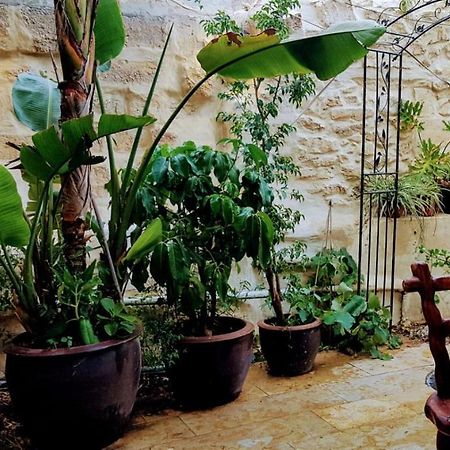 הגן הקסום, הצימר בבאר שבע Hotel Eksteriør billede